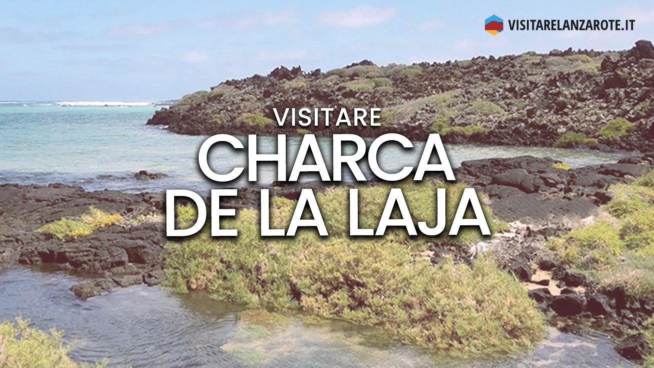 Charca de La Laja, Haría | Spiaggia dell'isola di Lanzarote