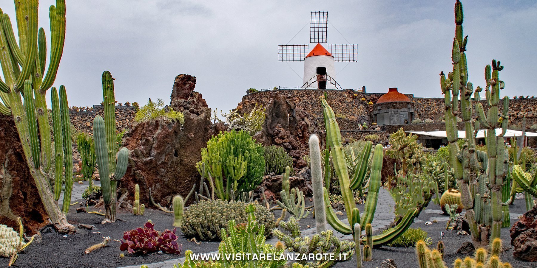 Jardín de Cactus