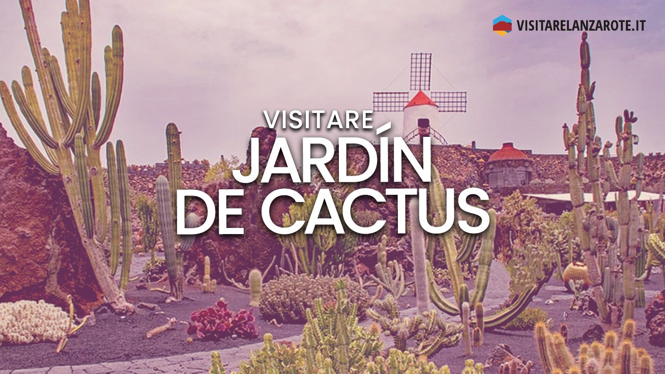 Jardín de Cactus, il paradiso dei cactus | Visitare Lanzarote