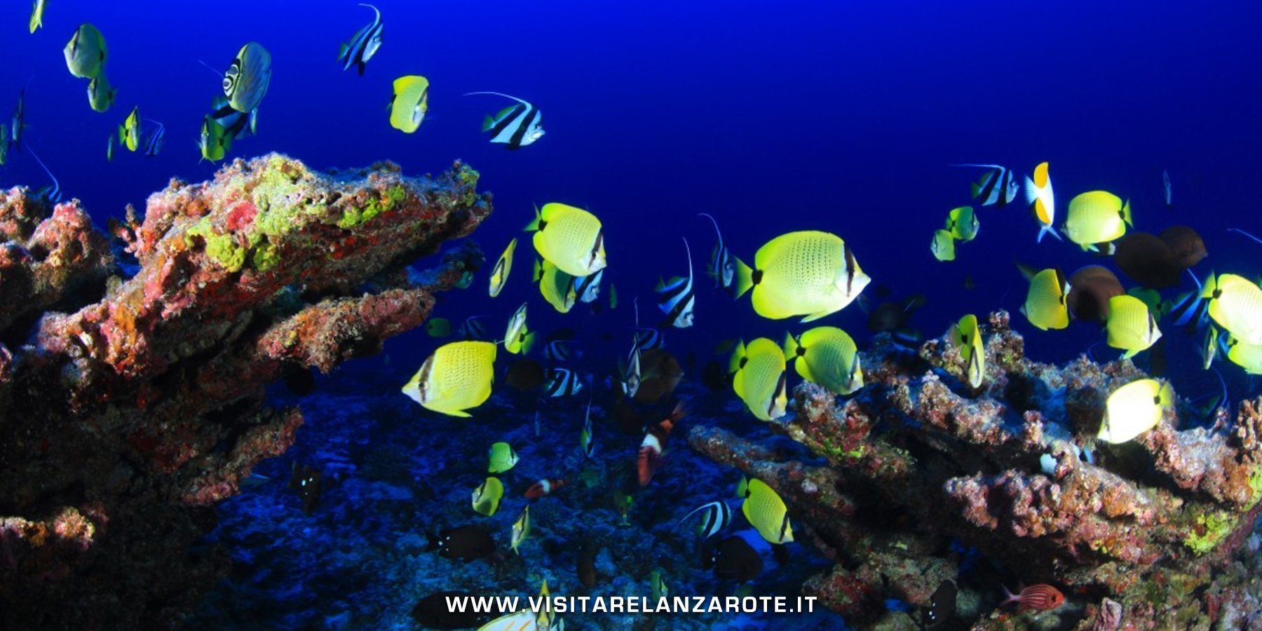 8 migliori cose da fare a Costa Teguise
