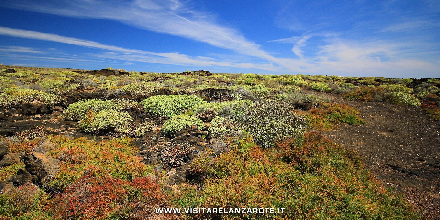 Malpaís de la Corona