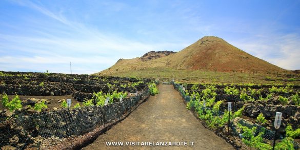 Montaña Corona Lanzarote