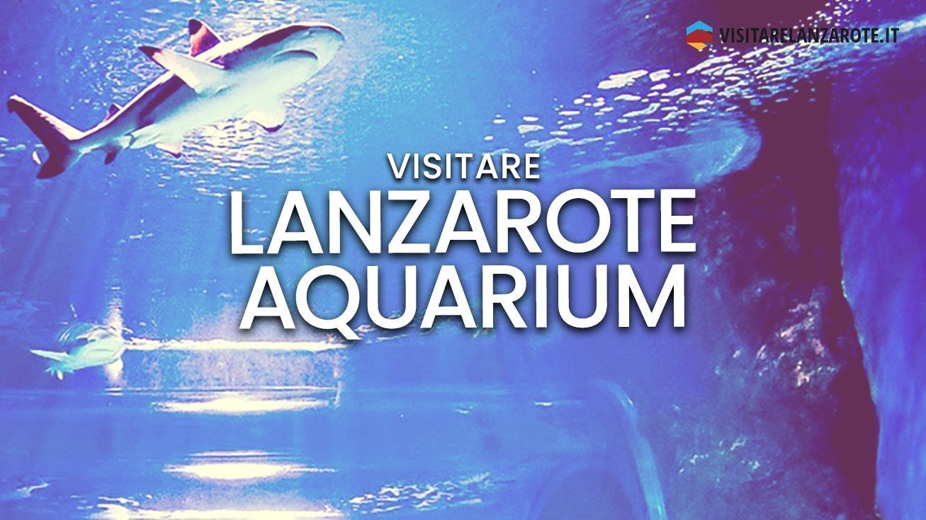 Lanzarote Aquarium, l'acquario più grande delle Canarie | Visitare Lanzarote