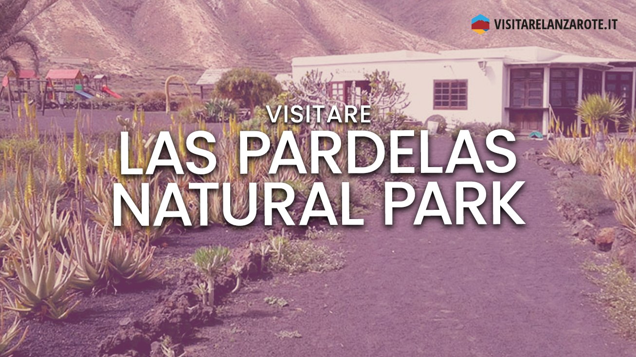 Las Pardelas Natural Park, una fattoria didattica | Visitare Lanzarote