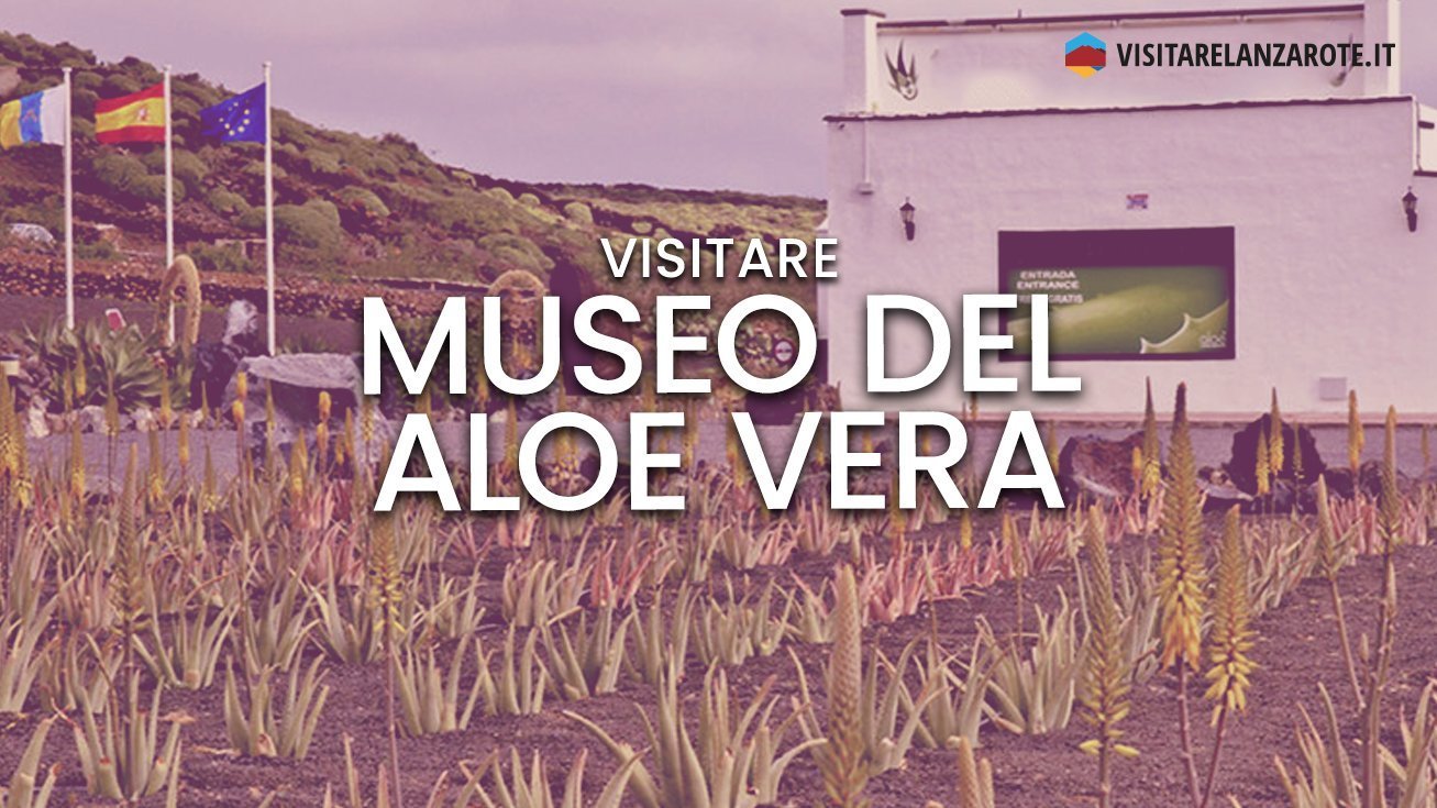 Museo del Aloe Vera y cultivo del Aloe Vera | Visitare Lanzarote