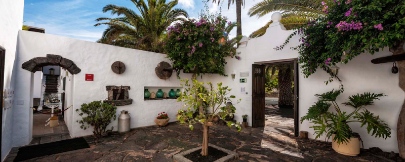 Fundación César Manrique